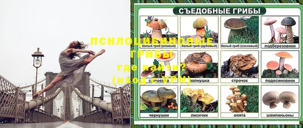 PSILOCYBIN Лиски