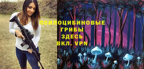 Альфа ПВП Лабытнанги