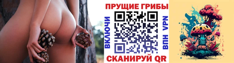 хочу   МЕГА сайт  Галлюциногенные грибы мухоморы  Электрогорск 