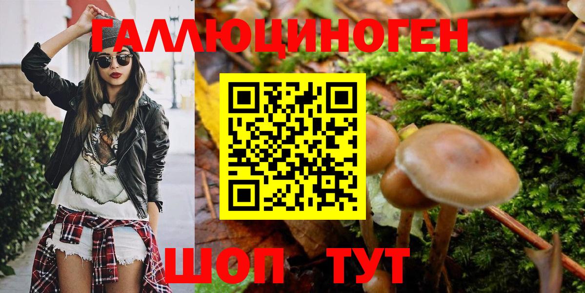 Псилоцибиновые грибы GOLDEN TEACHER  магазин  наркотиков  Электрогорск 