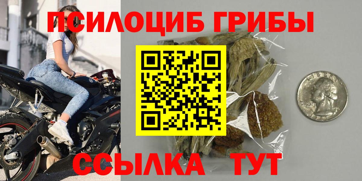 Электрогорск  Псилоцибиновые грибы ЛСД  где продают   Вход с VPN 
