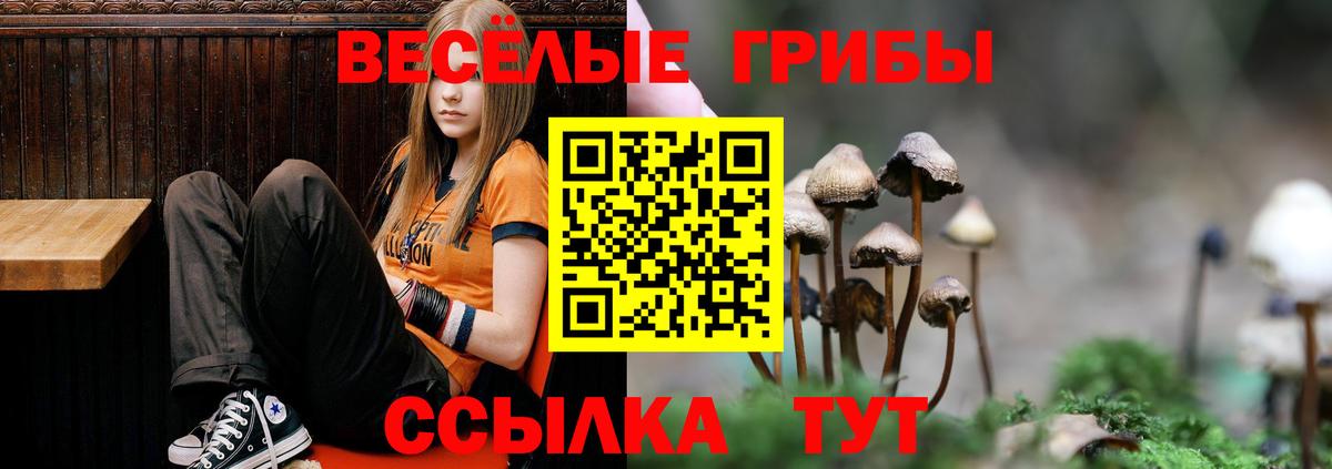 Псилоцибиновые грибы ЛСД Электрогорск